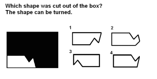 form constancy fig 2