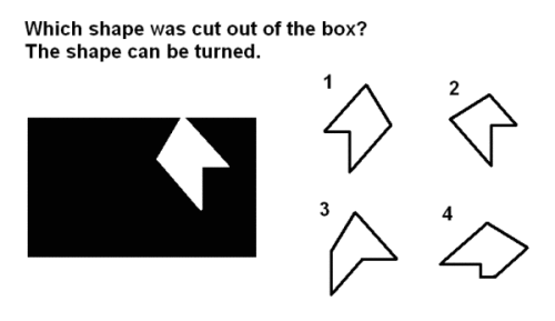 form constancy fig 3